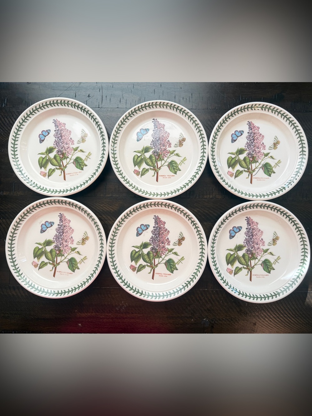 NWT Portmeirion Garden Lilac Botanical Salad/Dessert Plates 8” Set of 6